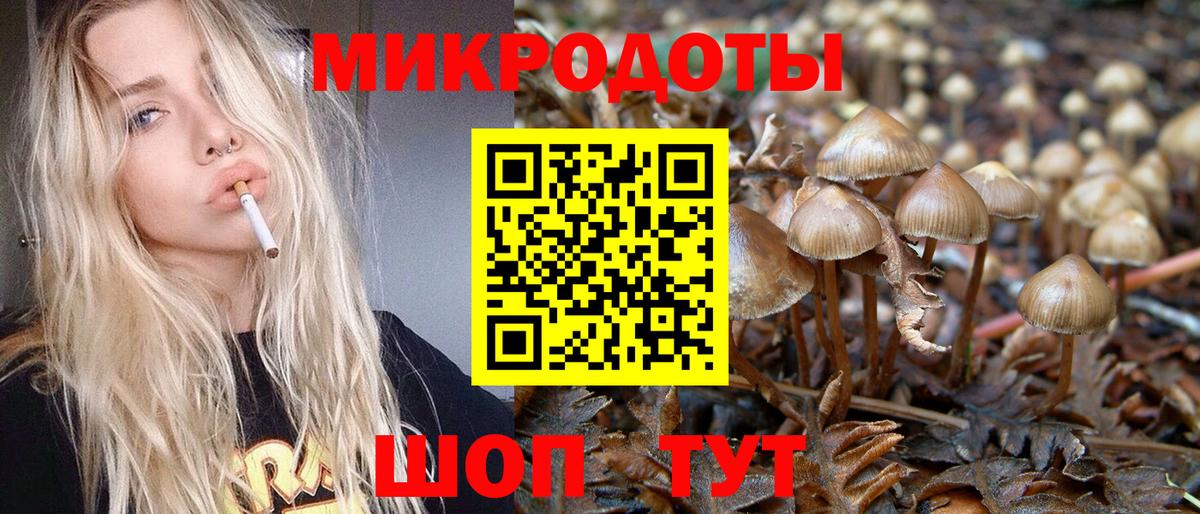 Галлюциногенные грибы Cubensis  купить наркоту  Татарск  Вход с VPN 