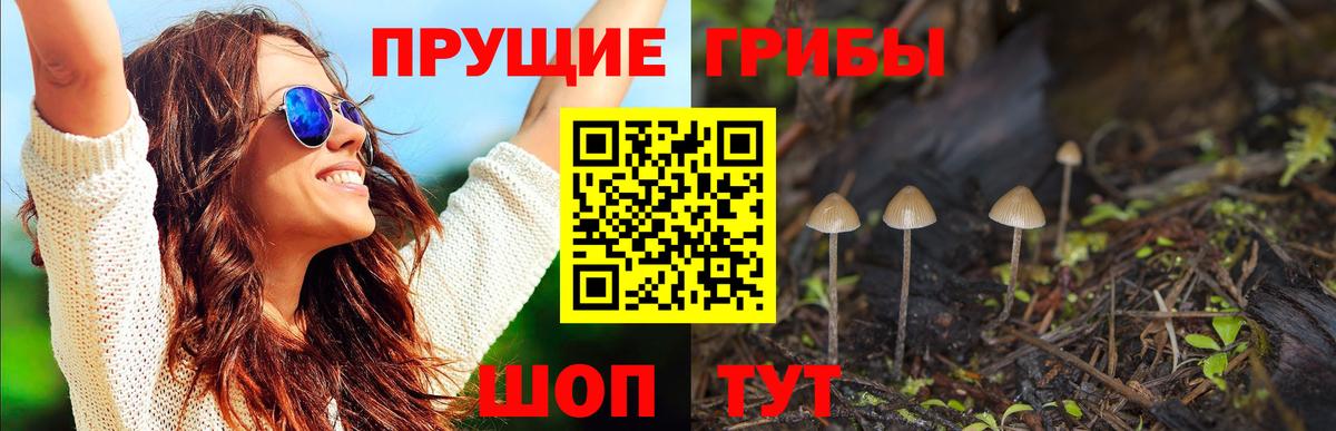 Галлюциногенные грибы Psilocybe Татарск